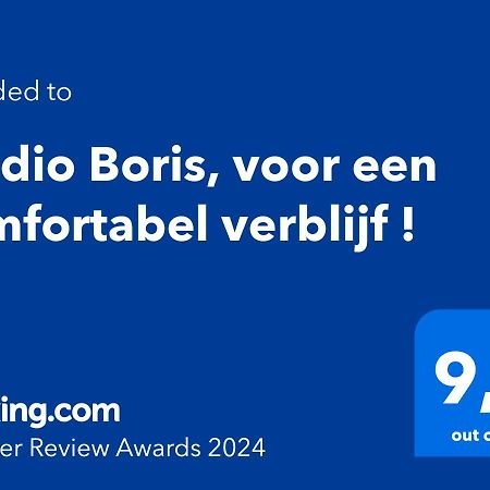 Studio Boris, Voor Een Comfortabel Verblijf ! Apartman Middelkerke Kültér fotó